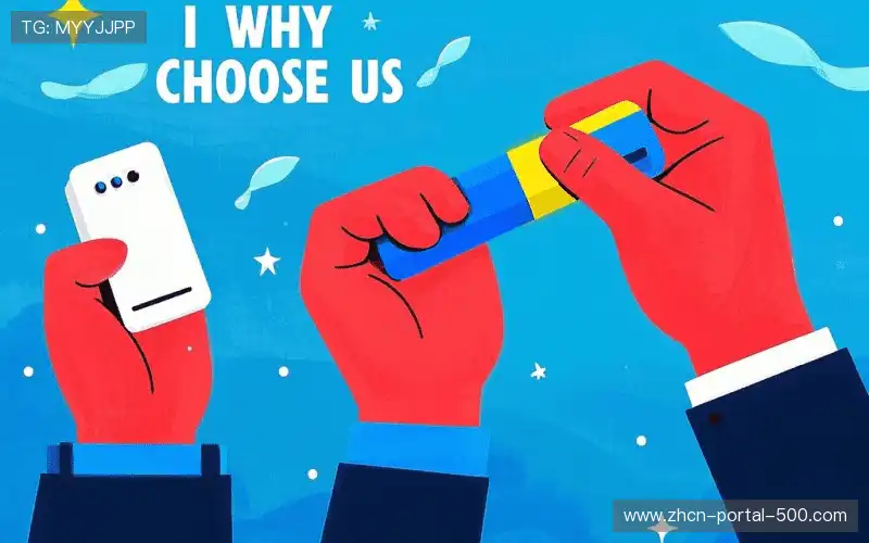 赛事安全审查链